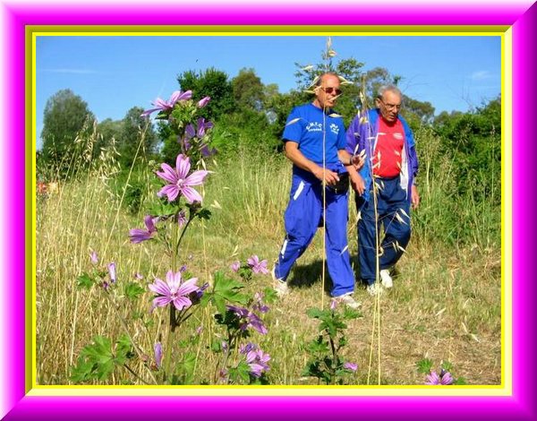 Passeggiando tra i Fiori.jpg