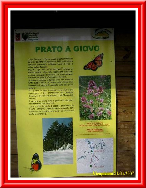 Prato a Giovo.jpg