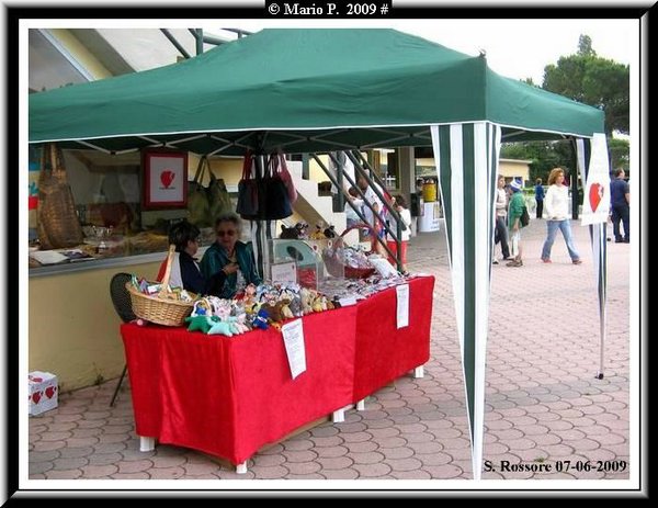 Festa Trapiantato9.jpg