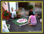 Infiorata2.jpg