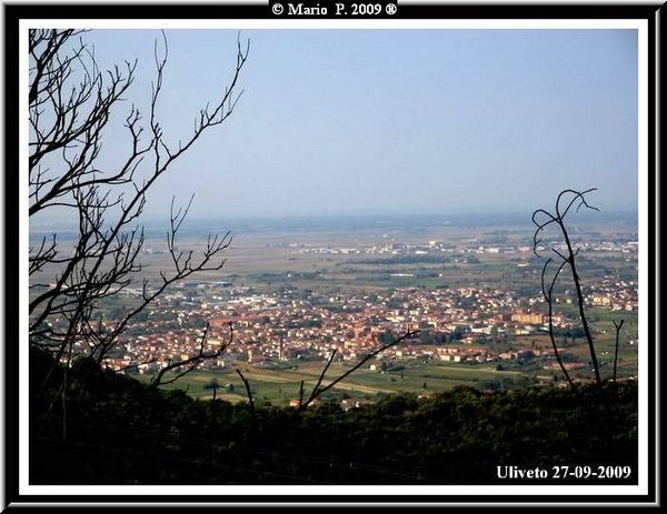 Panorama14.jpg