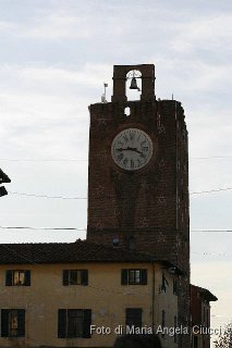 2009-12-05Tlethon_Cascina 009.jpg