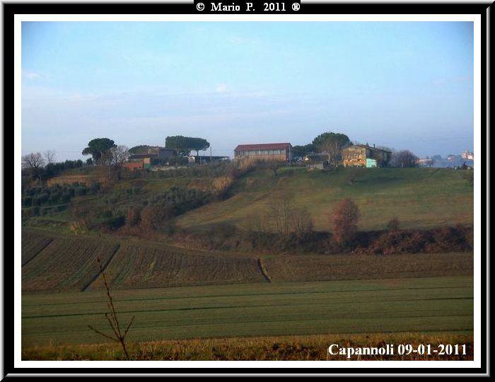 Collina.jpg