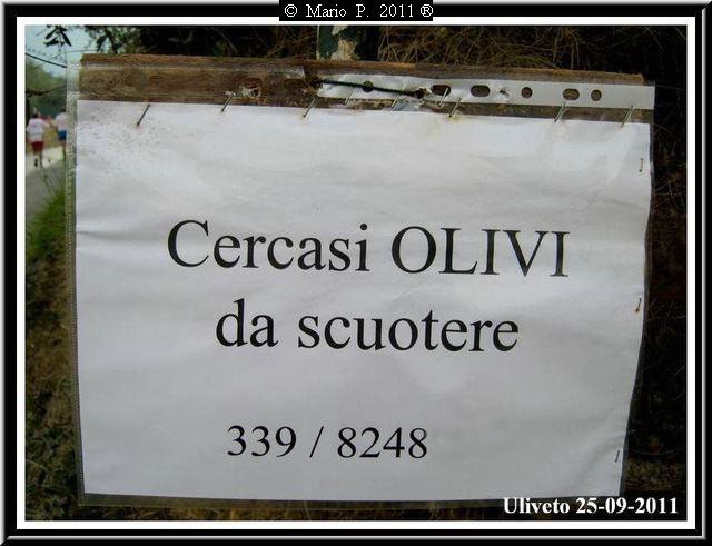 Avviso.jpg