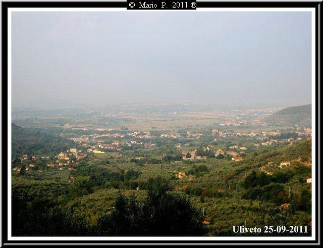 Panorama1.jpg