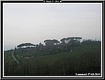 Cascinale nella nebbia.jpg