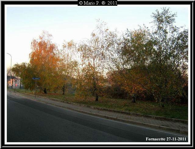 Colori di Autunno.jpg