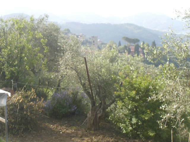 42° SGAMBATA SULLE COLLINE VERSILIESI- LUCCA  12.05.2013 015.JPG