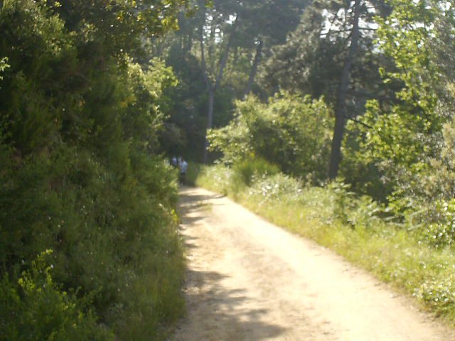 42° SGAMBATA SULLE COLLINE VERSILIESI- LUCCA  12.05.2013 022.JPG